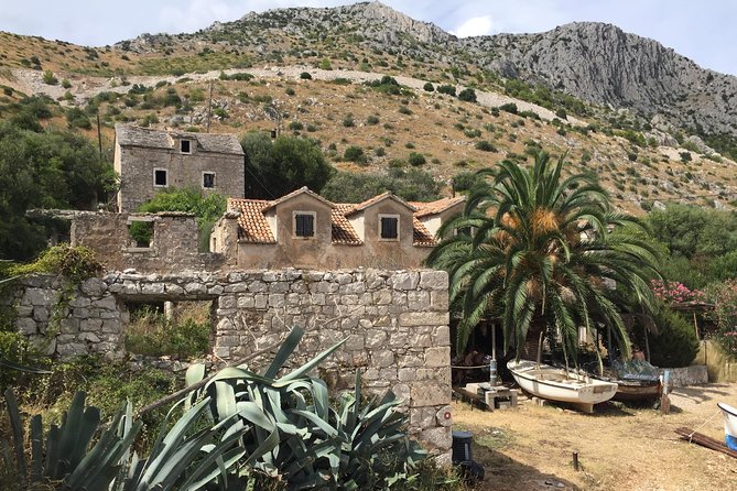 Private Hvar Island Tour and Olive Oil Tasting - Pickup, pacing, and how the day is managed
