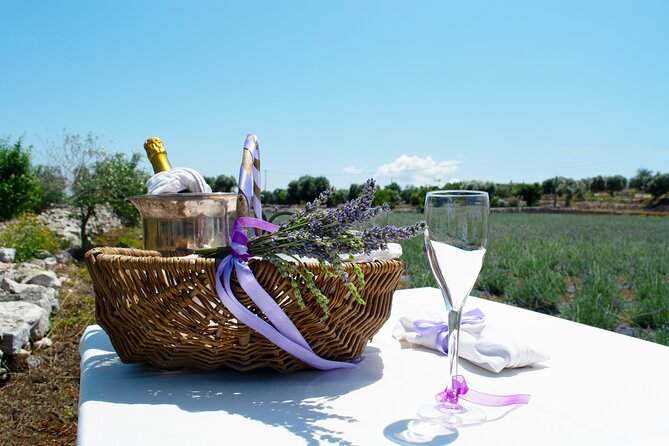 Private Olive Oil Tasting in Polignano a Mare - Your three-hour setting: Villa Delle Rose Puglia above Polignano a Mare
