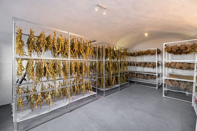 Private Olive Oil tasting & Liqueur experience - Black raisin liqueur tasting: rare fruit, slow craft