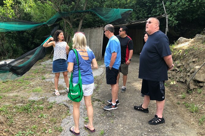 Private Pompeii Tour with lunch and Olive Oil Factory Experience - Price and Value: Why $528.67 Can Be Fair for a Private Day