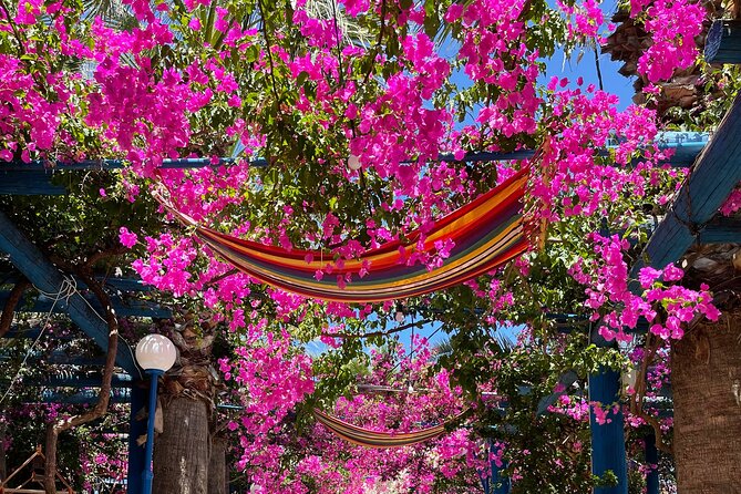 PRIVATE-South Crete-Matala Beach-Olive oil- Wine-Old Villages - Key takeaways before you go