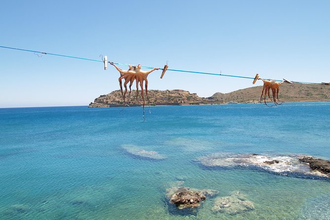 PRIVATE Spinalonga & Agios Nikolaos & Olive Oil Factory CRETE - Vassilakis Estate olive oil factory: tasting that beats store shopping