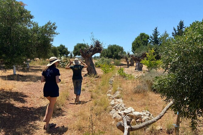 Private Tour: Discover the Secret World of Olives in Afantou - Animals and farm life: fun extras, plus one practical consideration