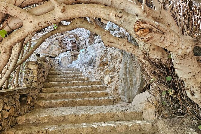 Private Tour Elafonisi Beach with Honey Olive Oil & Wine Tastings - Elos Village Time: Optional Lunch and a Taste of Cretan Quiet