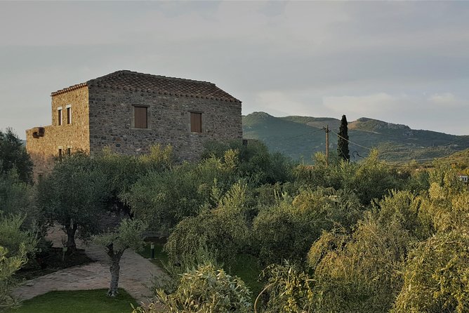 Private Tour in Historic Estate in Monemvasia with wine-olive oil tasting & meal - Why Liotrivi Works So Well for Olive Oil and Wine Lovers