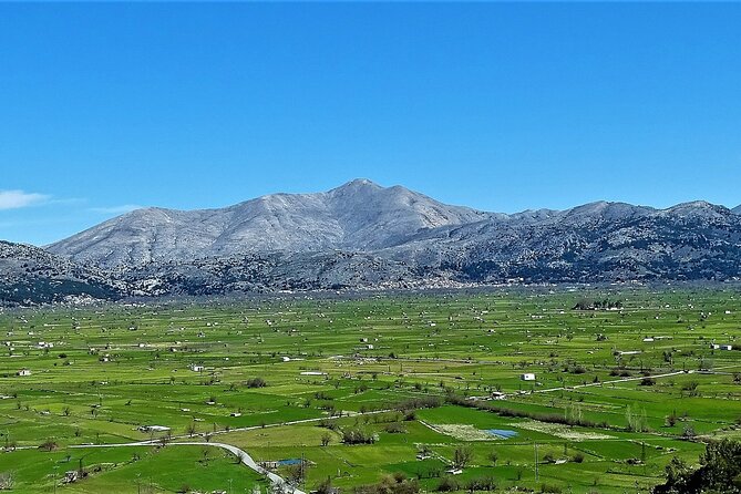 Private Tour-Knossos Palace Zeus Cave&Olive Oil Mill from Elounda - Traditional taverna stop: what you’ll likely order and how to make it worth it