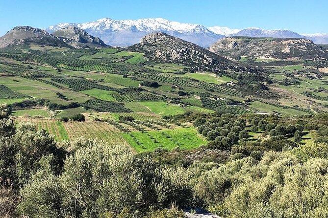 Private Tour: Soap, Olive Oil & Lyrarakis Winery with Lunch - The sommelier tasting: wine, olive oil, and cheese in one session