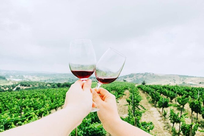 Private Tour: Soap, Olive Oil & Lyrarakis Winery with Lunch - Price and value: is $216.27 per person worth it?
