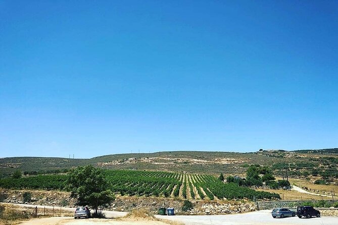Private Tour: Soap, Olive Oil & Lyrarakis Winery with Lunch - Who this tour suits best in Crete