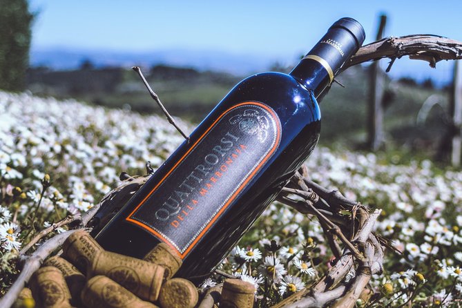Private Wine and Extra Virgin Olive Oil Tasting - Should You Book This San Gimignano Private Tasting?