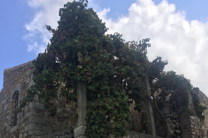 PRIVATE-Winery+Olive Oil Factory-Old Villages-Old Wind Mills - Who This Tour Suits Best (And Who Might Not)
