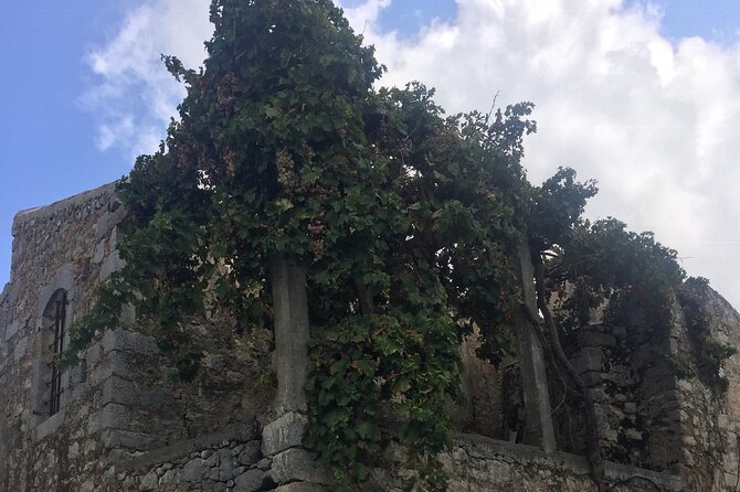 PRIVATE-Zeus Birthplace-Traditional Villages-Olive Oil Factory - Why this Crete day feels more local than a resort outing