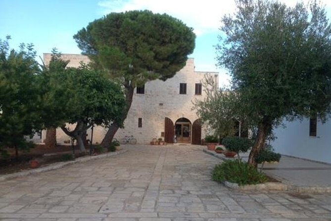 Puglia: Olive Oil Tasting Experience with Olive Grove Walk - Underground Olive Mill: Seeing Extraction in a Hidden Space