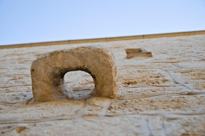 Puglia: Olive Oil Tasting Experience with Olive Grove Walk - Who This Tour Fits Best (and Who Should Choose Another Option)