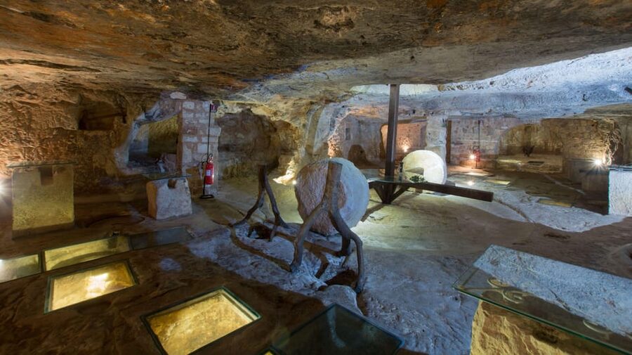 Puglia: Olive Oil Tasting Experience with Olive Grove Walk - Should You Book This Puglia Olive Oil Walk and Tasting?