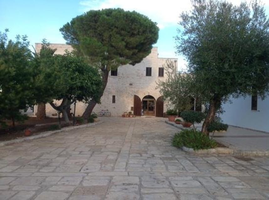 Puglia: Olive Oil Tasting Experience with Olive Grove Walk - FAQ