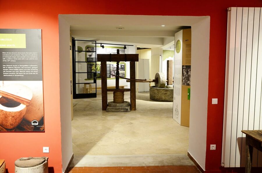 Pula: House of Istrian Olive Oil Museum and Guided Tasting - House of Istrian Olive Oil in Pula’s Center: what you’ll experience first