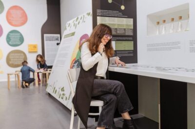 Pula: House of Istrian Olive Oil Museum and Guided Tasting - Romans, export routes, and two films that connect old and new
