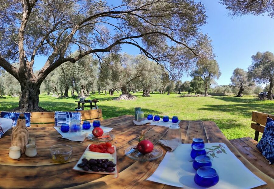 Rethymno: Olive Oil Tasting with Cretan Food Pairing - Olive oil tasting like you mean it: 4 oils and how to taste