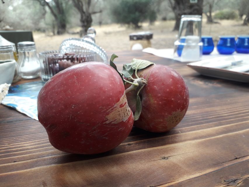 Rethymno: Olive Oil Tasting with Cretan Food Pairing - Who this tour suits best in Rethymno