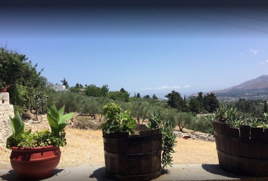 Rethymno: Private Winery & Olive Oil Tasting Tour with Lunch - Olive oil tasting: how to taste like you mean it