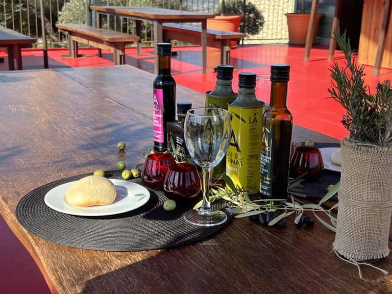 Ronda: LA Almazara LA Organic, Olive Oil Museum and Tasting - Key Things You’ll Enjoy Most