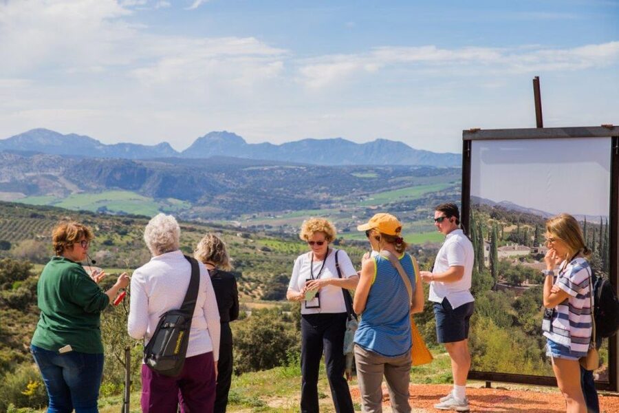 Ronda: LA Almazara LA Organic, Olive Oil Museum and Tasting - The Mill and Extraction Process: From Olives to Bottling