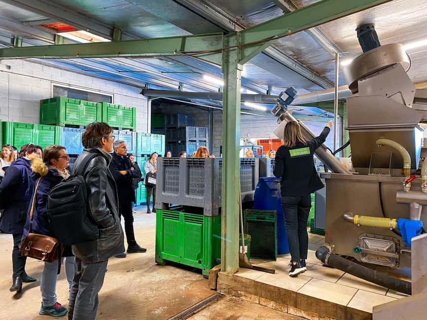 Saint Gilles: Visit an olive oil mill in an organic olive grove - Olive oil tasting: natural oils, aromatic oils, and savory favorites