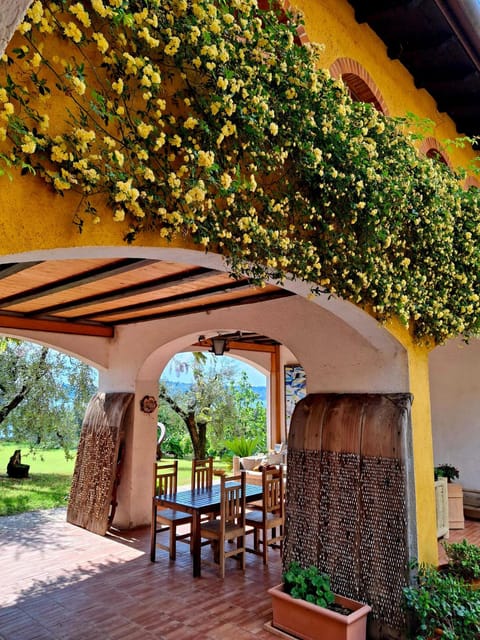 San Felice: Olive Oil Tasting with local food on Garda Hills - What You Actually Eat and Taste (So You Can Plan Your Expectations)