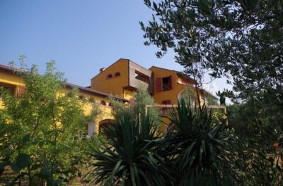 San Felice: Olive Oil Tasting with local food on Garda Hills - The 2-Hour Flow: How the Tasting Unfolds