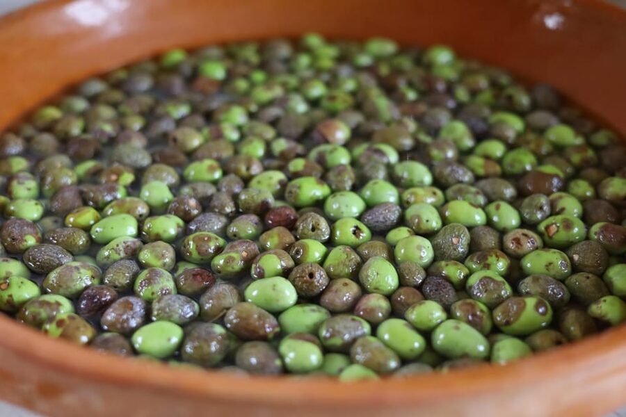 San Felice: Olive Oil Tasting with local food on Garda Hills - The Olive Oil Part: What You’re Learning as You Taste