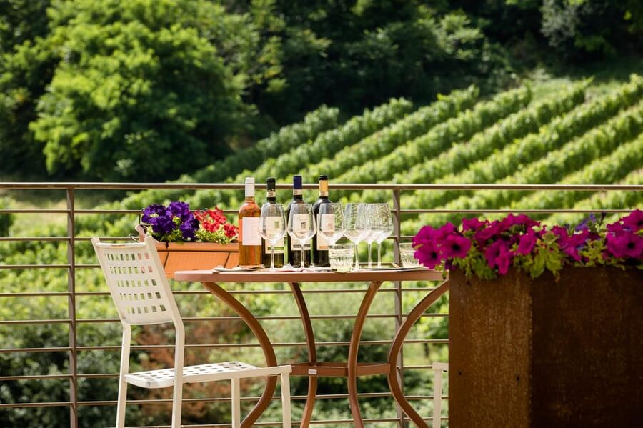San Gimignano: Winery Visit with Picnic in Olive Grove - The family-run winery stop: Chianti, Vernaccia, and real production talk