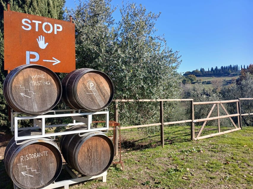 San Gimignano: Winery Visit with Picnic in Olive Grove - Wine pairing with a host/sommelier: less guesswork, more enjoyment