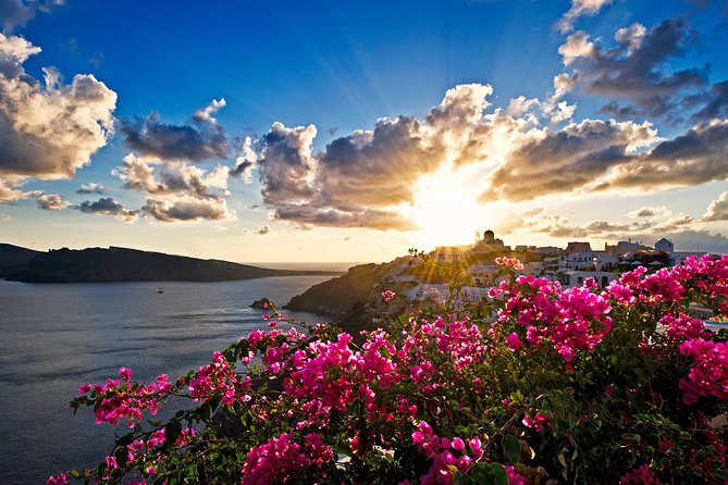 Santorini: 6hr Private Tour with Olive Oil, Beer or Wine Tasting - Sant Organics Farm Visit: Olive Oil Tasting With a Food Mindset