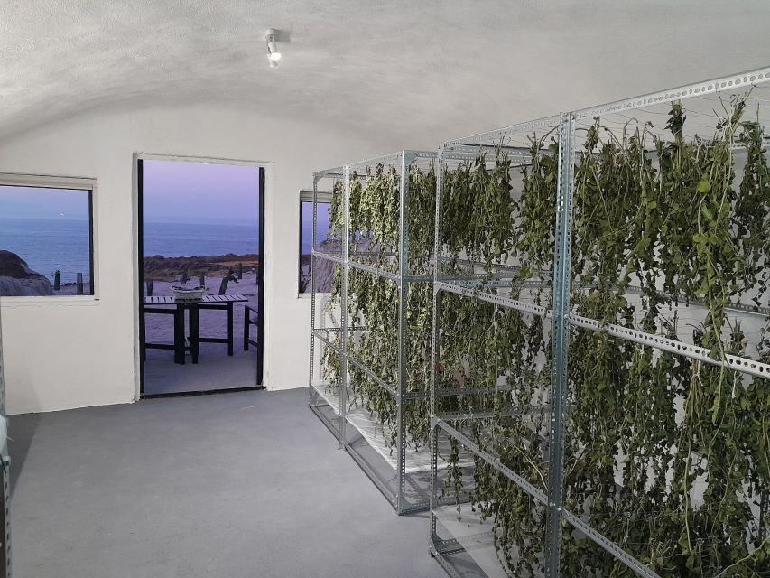 Santorini: Private Olive Oil tasting & Liqueur experience - Key things to know before you go