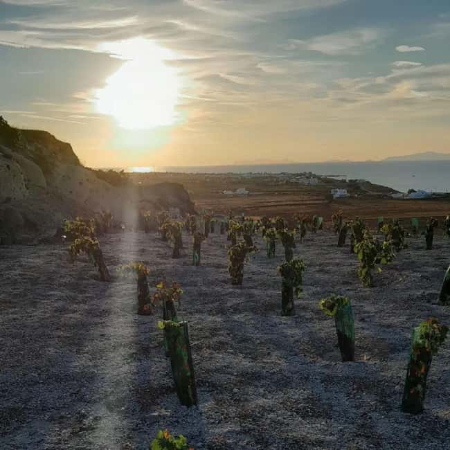 Santorini: Private Olive Oil tasting & Liqueur experience - Views in Oia: Coloumbo volcano or sunset time