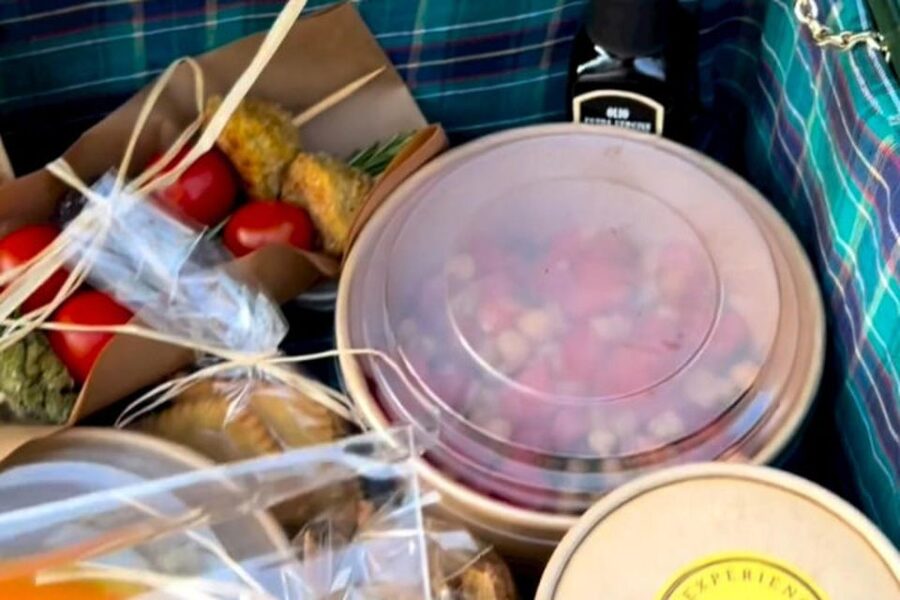 Sardinian Olive Oil tasting & Picnic among the olive trees - Meeting at Sa Mola Oleificio: where the olive story starts