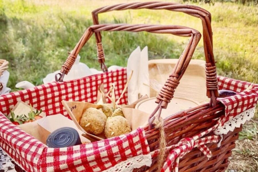 Sardinian Olive Oil tasting & Picnic among the olive trees - Languages, group size, and the Q&A factor