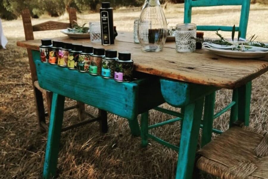 Sardinian Olive Oil tasting & Picnic among the olive trees - What to bring, and how to make the most of the hour