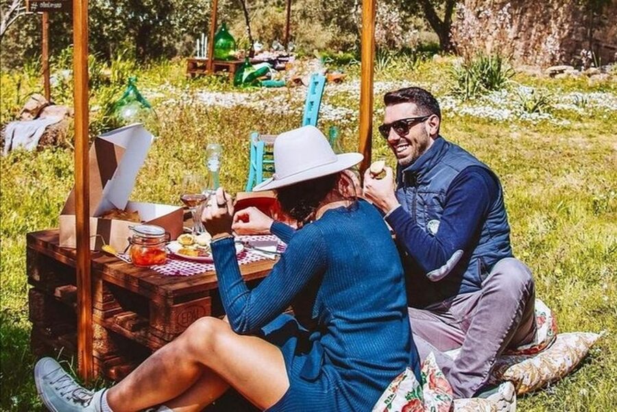 Sardinian Olive Oil tasting & Picnic among the olive trees - Should you book Sardinian Olive Oil tasting and Picnic among olive trees?