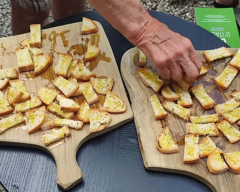 Seggiano: Guided Tour of the Olive Grove and Food Tasting - Key highlights at a glance