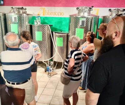 Seggiano: Guided Tour of the Olive Grove and Food Tasting - Meeting at Loc Vignine 59 and getting your bearings fast