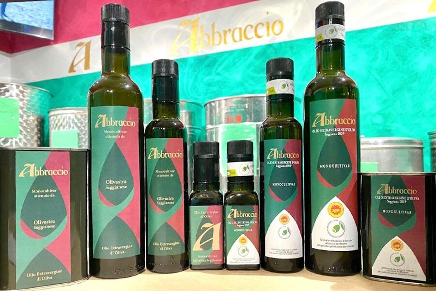 Seggiano: Typical Tuscan Farm Tour with Olive Oil Tasting - Walking the Olive Groves: The Production Story Starts in the Fields