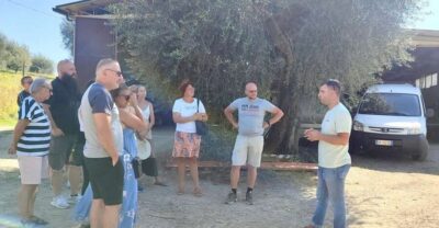 Seggiano: Typical Tuscan Farm Tour with Olive Oil Tasting - Entering Olio Abbraccio: What Makes This Tour Worth Your Time