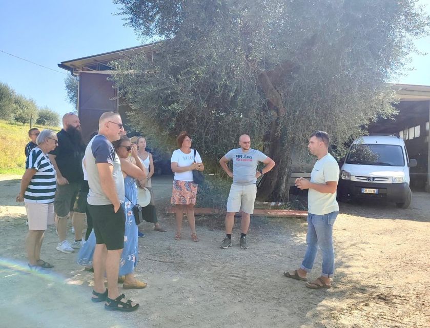 Seggiano: Typical Tuscan Farm Tour with Olive Oil Tasting - The Tasting: Where You Learn to Taste Like a Purchaser