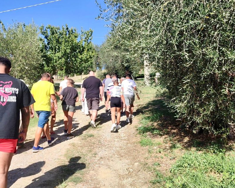 Seggiano: Typical Tuscan Farm Tour with Olive Oil Tasting - Pairing Oil With Typical Foods: A Practical Farm-to-Table Lesson