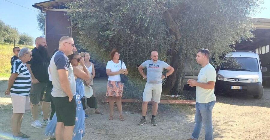 Seggiano: Typical Tuscan Farm Tour with Olive Oil Tasting - Entering Olio Abbraccio: What Makes This Tour Worth Your Time