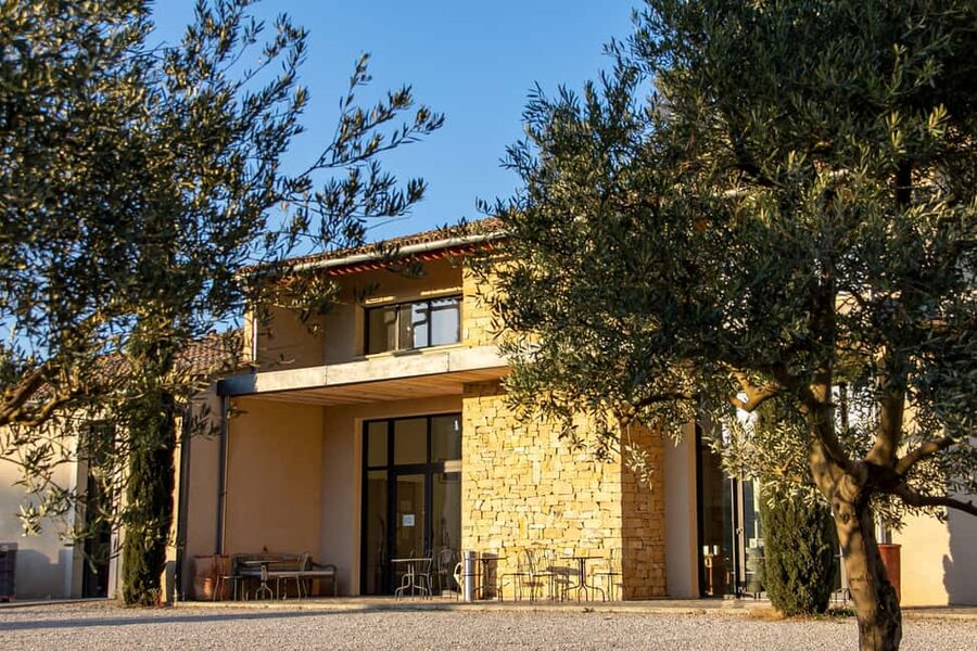 Self tour of the olive oil mill & olive oil tasting - The tasting: learn by smell and style, not just by name