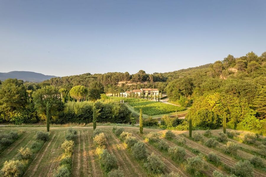 Self tour of the olive oil mill & olive oil tasting - Should you book Moulin Bastide du Laval’s olive oil mill and tasting?