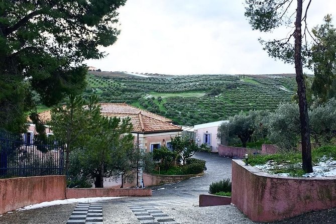Semi Private Wine and Olive Oil tour (Transfer & Lunch Incl.) - A Half-Day Route That Turns Food Into a Story